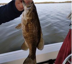 Fishing adventure in NY