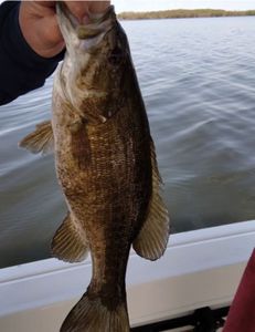 Exciting fishing adventure in NY