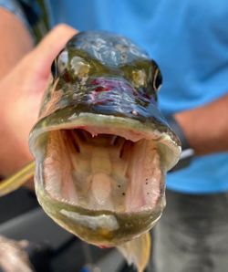 Fishing adventure in NY