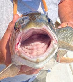 A fishing trip in NY