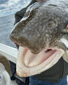 One fishing trip in NY