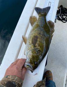 Fishing adventure in NY