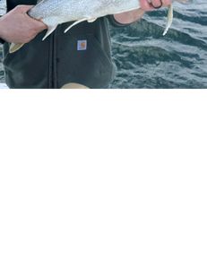 Fishing adventure in Peru