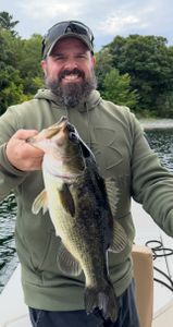 Angler fishing at Cumberland Head