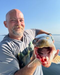 A fishing trip in New York