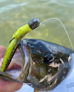 Fishing trip in NY