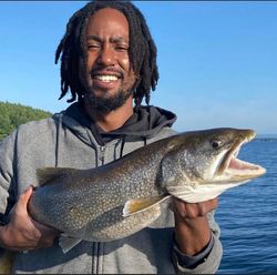 A lone lake trout caught in NY