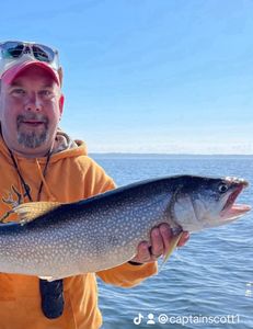A single majestic lake trout caught in NY
