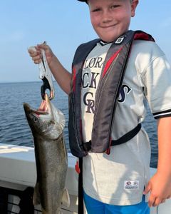 A Lake Trout measuring 12 inches caught while fishing in NY