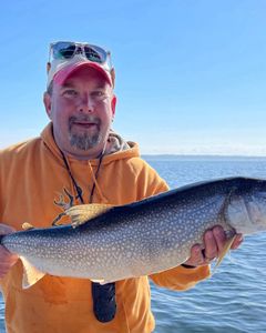 Massive lake trout caught in NY