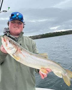 Rainbow trout, 22-inch fish caught in Peru