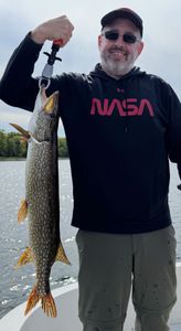 Photo of a Northern Pike caught while fishing in NY