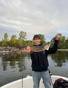 Northern Pike fish caught while fishing in NY
