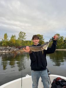 Northern Pike caught while fishing in NY
