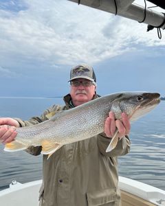 One person fishing in New York
