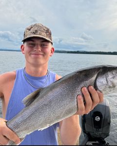 Bluefish caught fishing in Peru