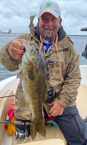 Smallmouth Bass caught in Peru