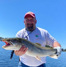 Angler holding 23-inch fish in New York