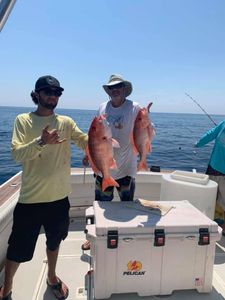 Two anglers with 2 medium-sized fish in Florida