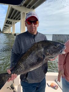 Fisherman with a large black drum fish at Cape Canaveral