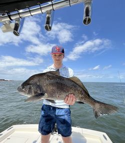Fisherman catching a black drum in FL
