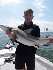 Blacktip shark caught while fishing at Cape Canaveral
