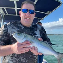Bluefish caught during fishing trip at Cape Canaveral