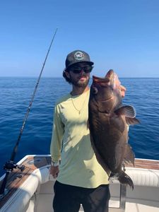 Red Grouper fish caught in FL