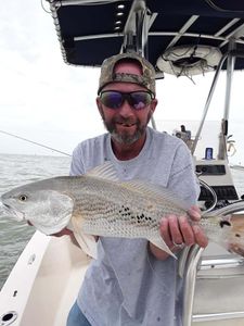 Redfish measuring 21 inches caught at Cape Canaveral