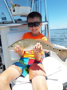 A single Redfish, a 20-inch catch, in Cape Canaveral
