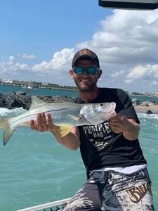Snook fishing in FL