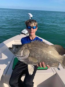 Tripletail fish caught by angler in Cape Canaveral