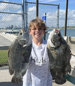 Two Tripletail fish caught while fishing in FL