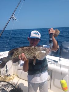 Fish-Species