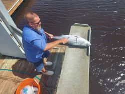 A fishing scene at Carolina Beach