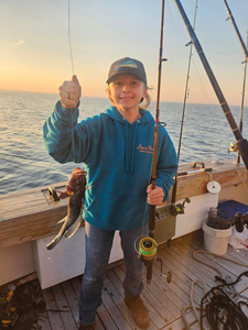 A fisherman catching a sea bass in NC