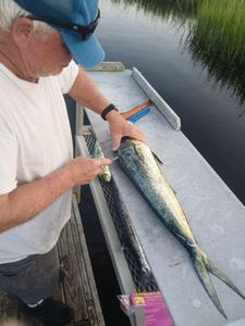 A picture of a fisherman enjoying the great outdoors at Carolina Beach