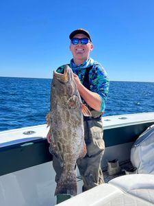 Black grouper catch displayed on fishing boat in Fort Myers FL waters