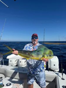 Mahi mahi catch displayed on fishing boat in Fort Myers FL waters