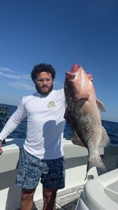 Red grouper catch from Fort Myers FL fishing trip