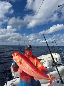 Large red snapper catch displayed on fishing boat in Fort Myers FL