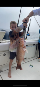 Caught a huge grey snapper fish while fishing in Fort Myers