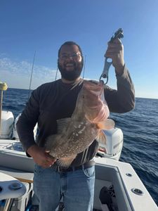 Red grouper caught while fishing in Fort Myers FL waters