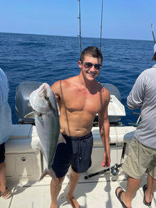 A huge greater amberjack caught fishing in Fort Myers