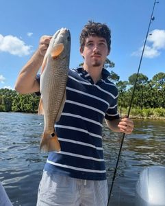 Fish-Species