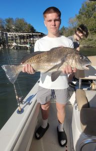 Angler holding a large black drum fish caught in Niceville
