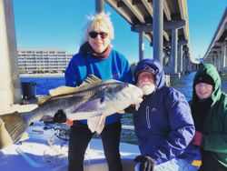 Three people fishing with a 28-inch catch in FL