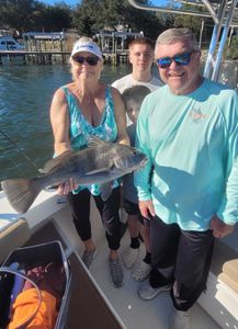 Angler with a big black drum fish in FL