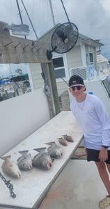 A person fishing in Florida