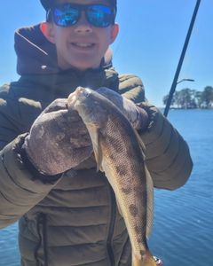 A person fishing in Niceville